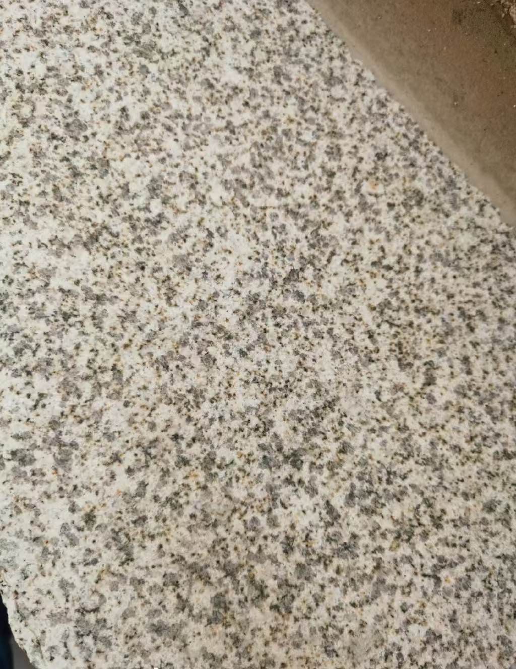 宜宾 黄金麻中黄光面