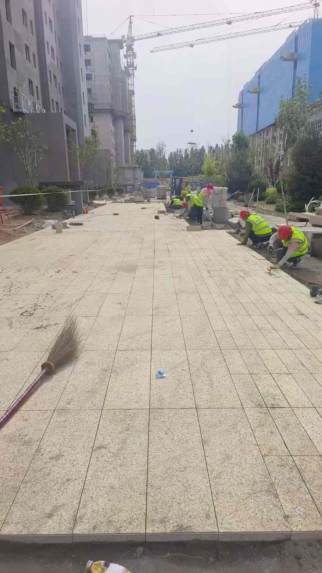 宜宾黄金麻荔枝面地铺案例
