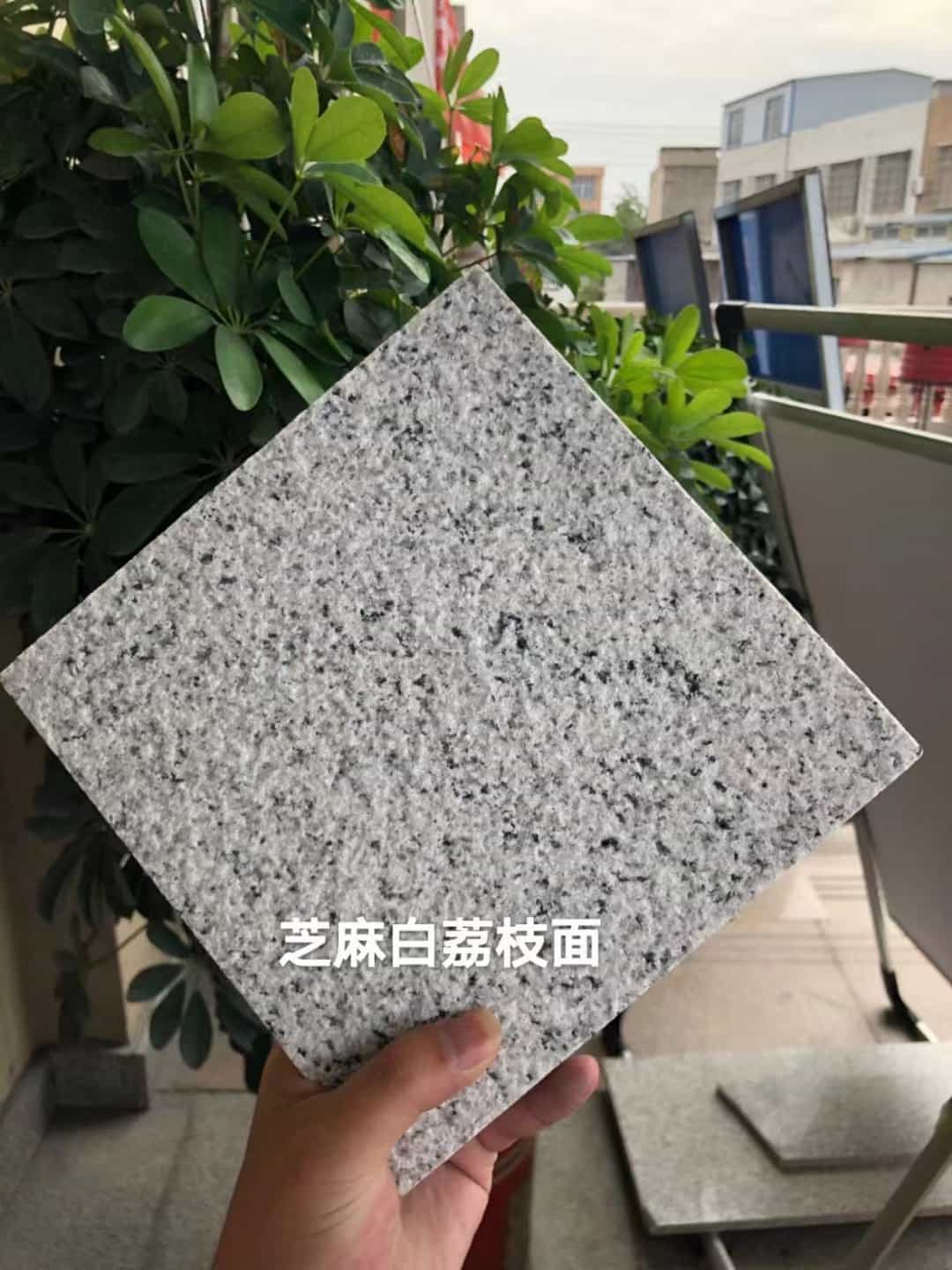 宜宾 芝麻白荔枝面干挂