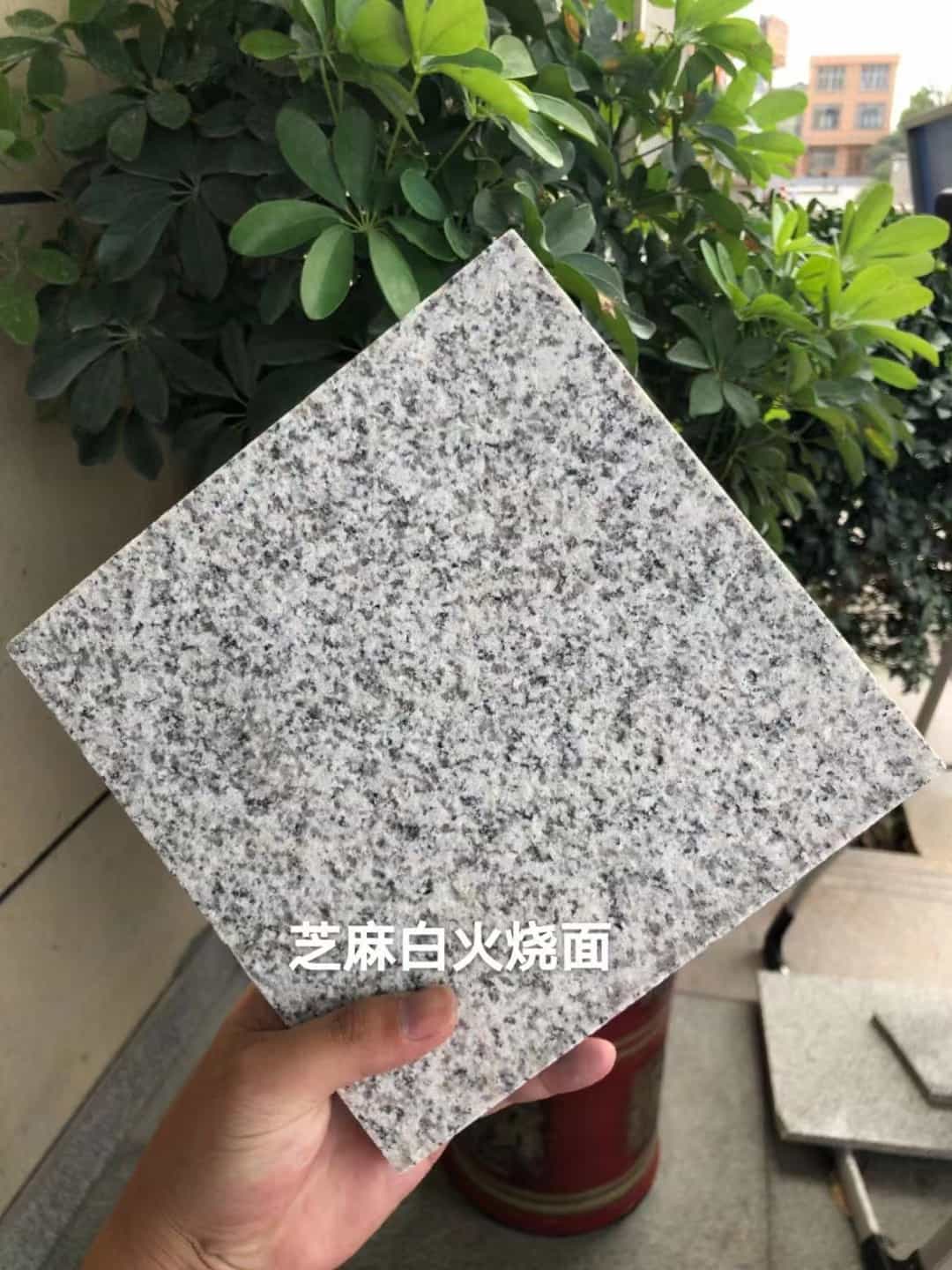 宜宾芝麻白火烧面地铺