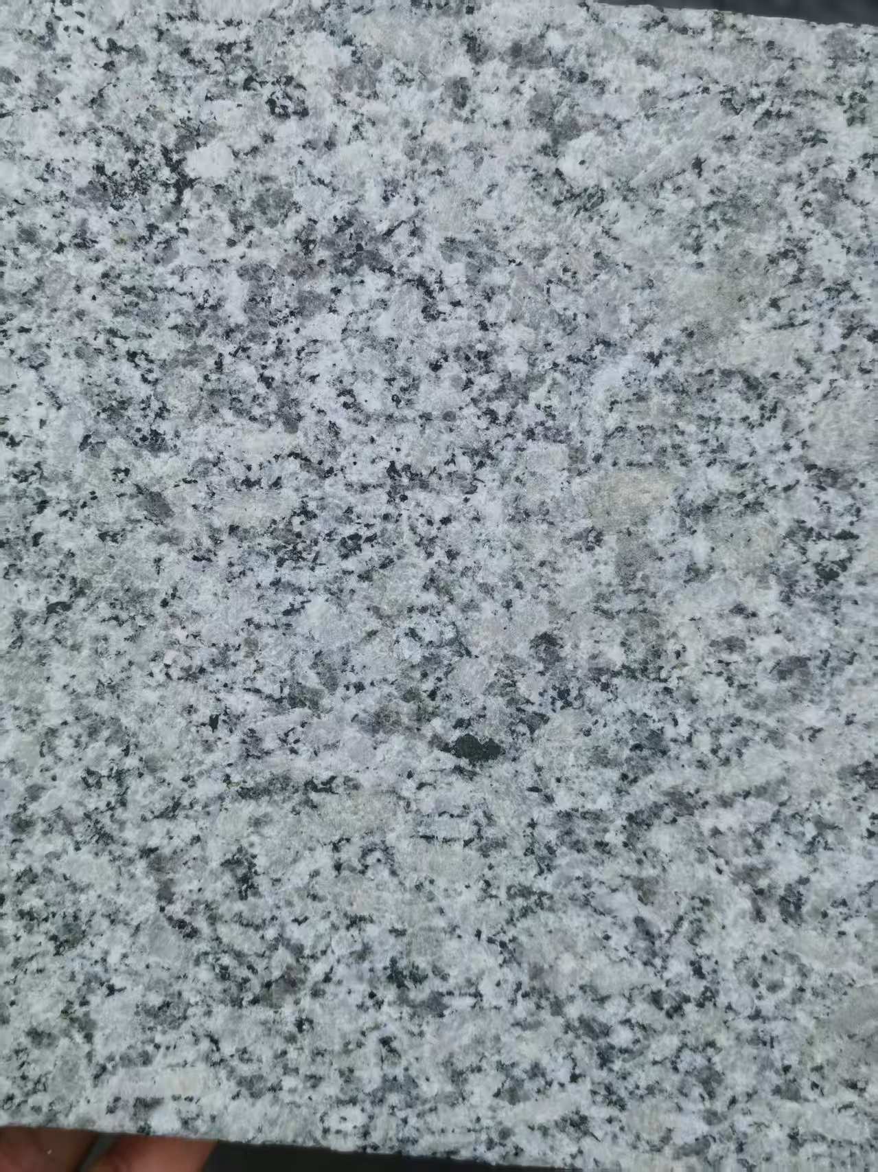 宜宾 芙蓉白火烧面